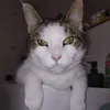 huberciiqwx