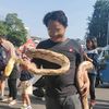 iwiza.panoy