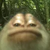 iamedremmus