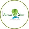 forevergreen.id