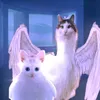 user7llzootn7r