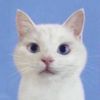 ผมจะทำหนังไซไฟ (2.1M) 🐈