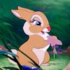 jieeejiebunny