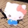 hanazumarinaositai