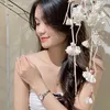 p.mai0410