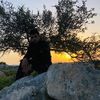 user86192125