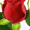 userp6i14ofimp