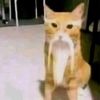 no_se_que_ponerme189