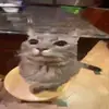 normstray
