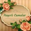 aysel.aydn860