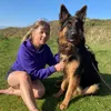 koa_gsd