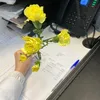 charlotteauxfraises15