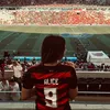aliice_crf