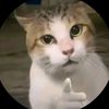 abizar_628