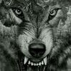 josetheman780