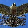user6e1r2p530p