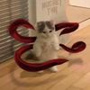 kanekunt