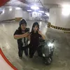 dmcotsongdh