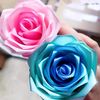 ribbonbloomofficial