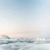 whitecleanser