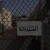 jaralh808