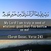 allhumdolillah435