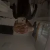 tami_o5o3o7