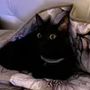 jessicacorazza20