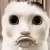 xcmmmha