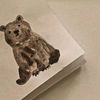 _kiddy.bear