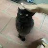 nta..090605