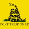 yellow_snake51