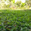 jun_edi02