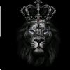 hadia75349