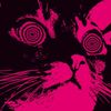 judi.purr7