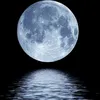 lolo.moon2