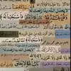 a_raf27