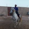 user9052439131793