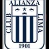 angel_cv1977