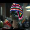 tpflores.com06