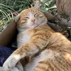 hangmy123_