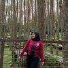 shacil_01