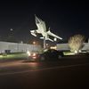 itsnotafuckingtransam