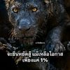popp5965