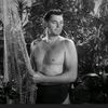 stevetarzan66