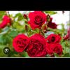 okto_3e