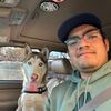 a_husky_named_rookie