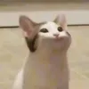 tgfhycjhghufb