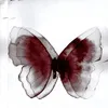 _alicia.z