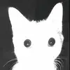 notsoravenettekid